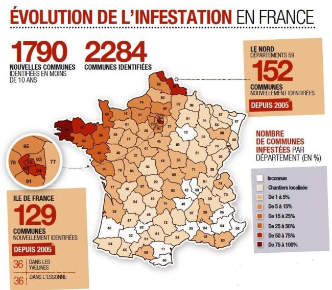 carte merule en France